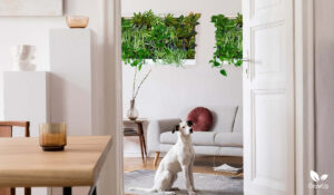 Pet-Safe Plants Guide: Non-Toxic Indoor Plants for Cats and Dogs